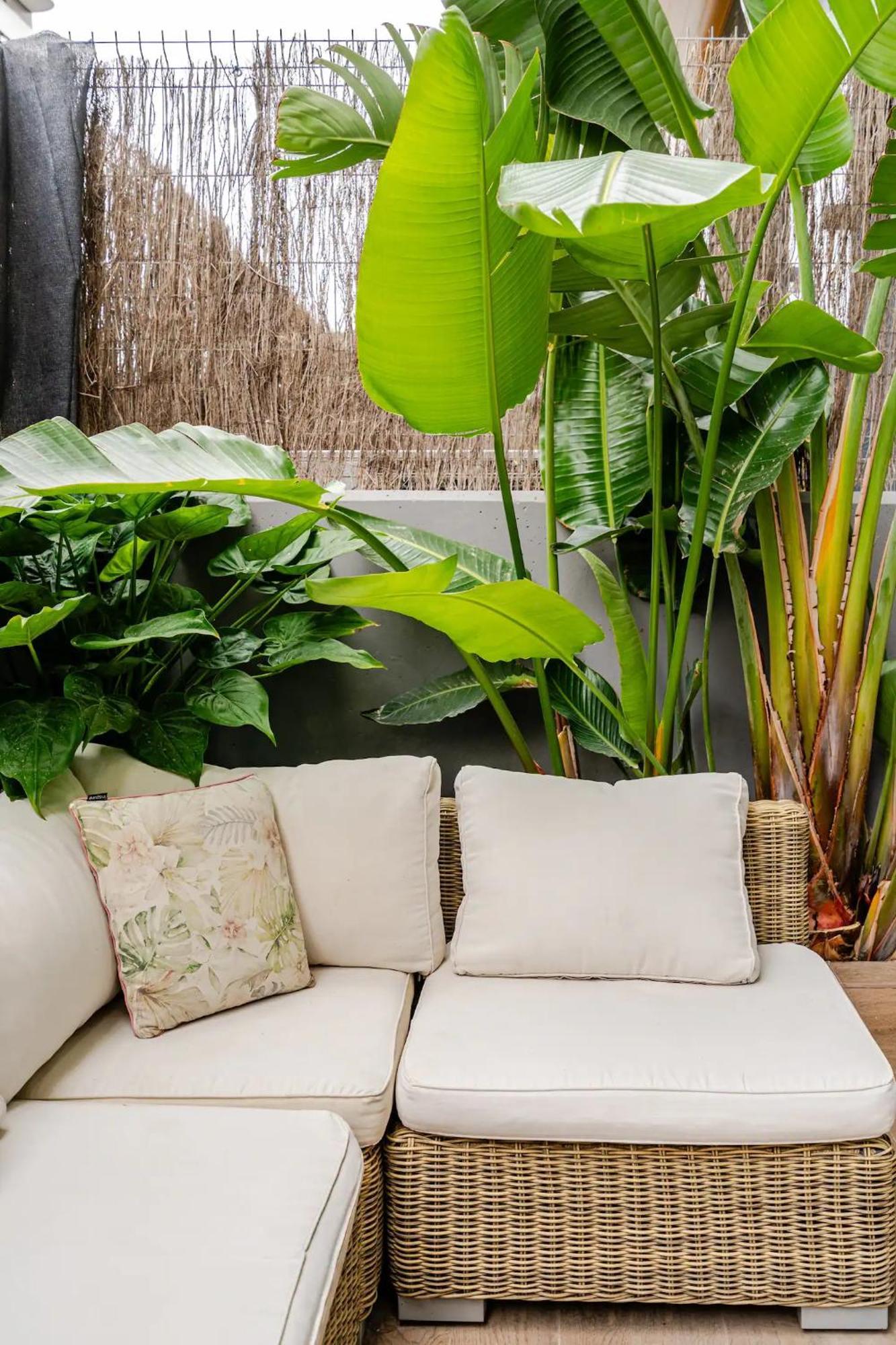 Werentvlc - Espectacular Duplex Terraza Y Piscina Apartment Valencia Ngoại thất bức ảnh